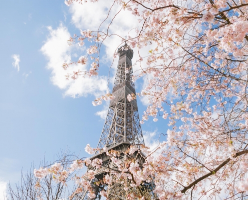 1 Eiffel Tower in Spring